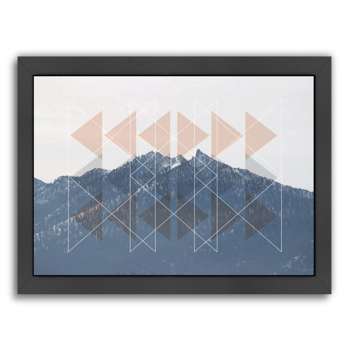 Patterns In Nature V by Hope Bainbridge - Black Framed Print - Wall Art - Americanflat