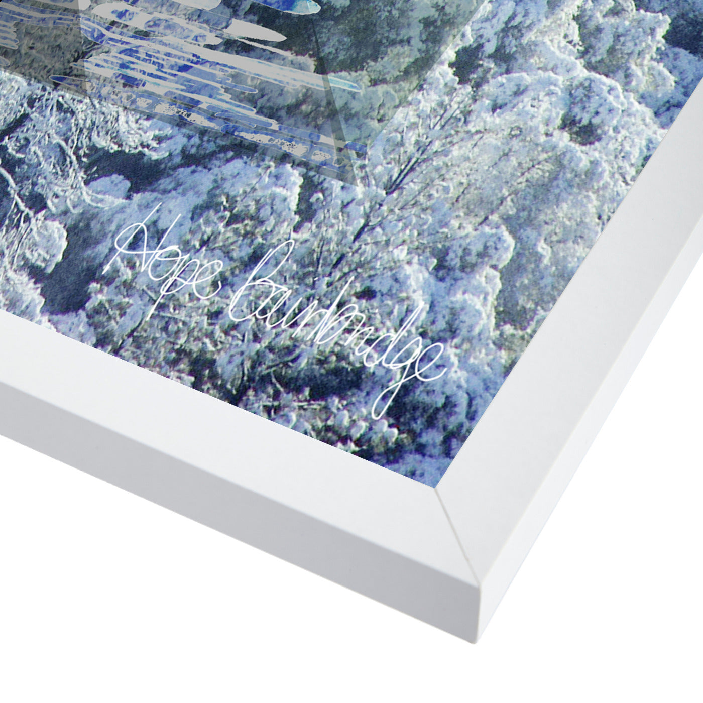 Patterns In Nature Vi by Hope Bainbridge - White Framed Print - Wall Art - Americanflat