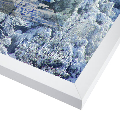 Patterns In Nature Vi by Hope Bainbridge - White Framed Print - Wall Art - Americanflat