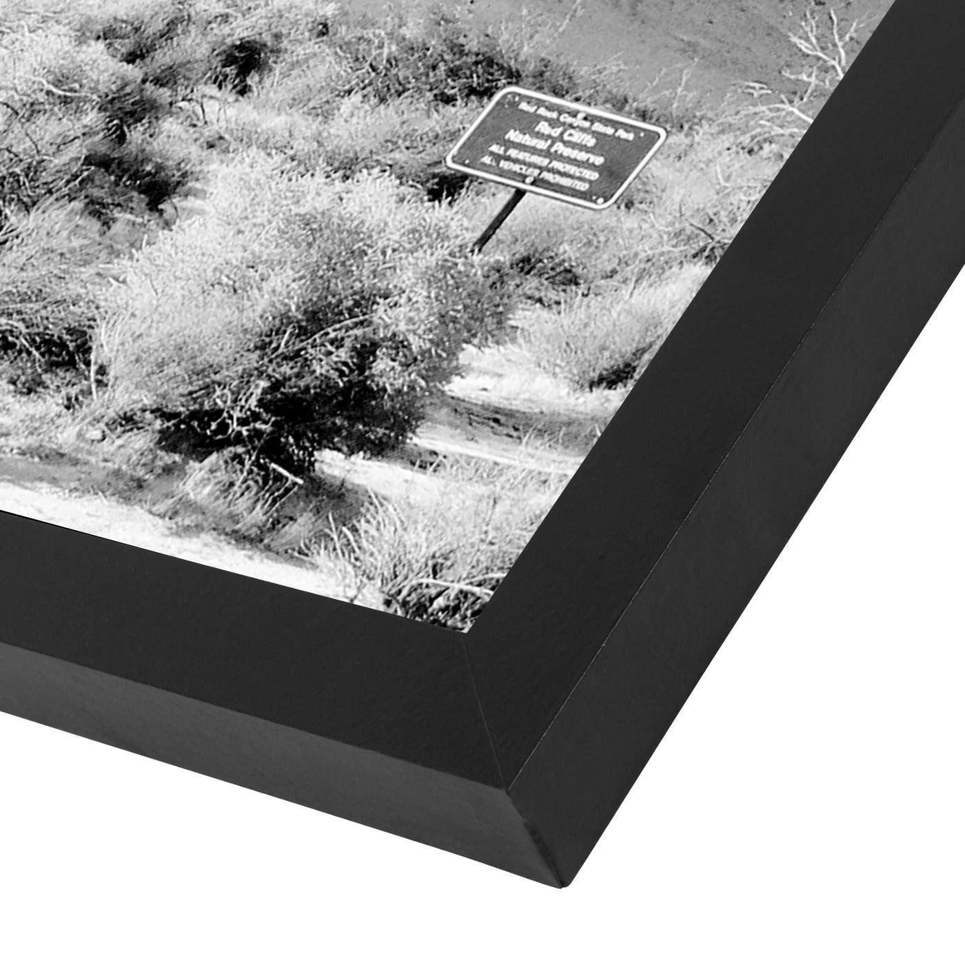 Shapes In Nature I by Hope Bainbridge - Black Framed Print - Wall Art - Americanflat