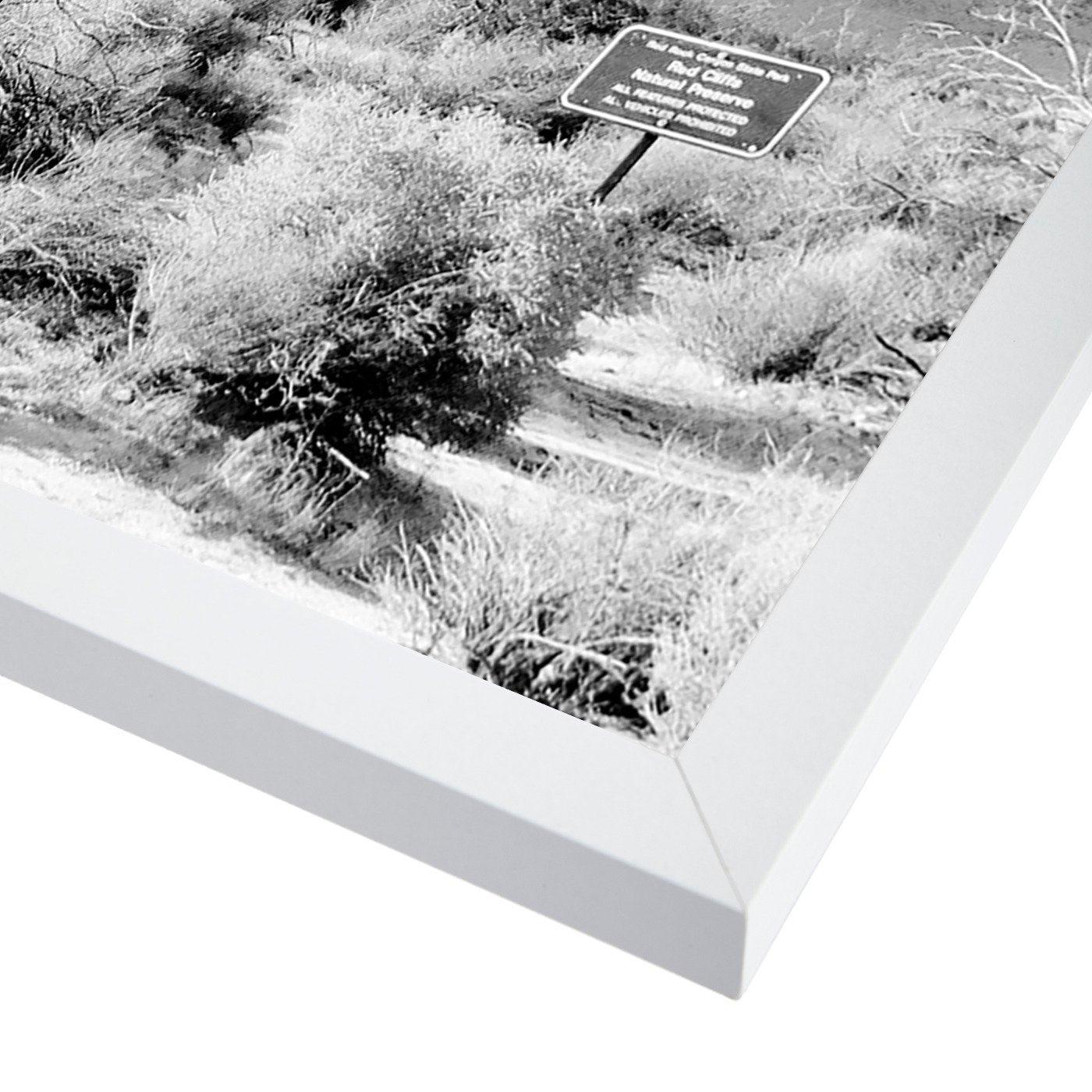 Shapes In Nature I by Hope Bainbridge - Framed Print - Americanflat