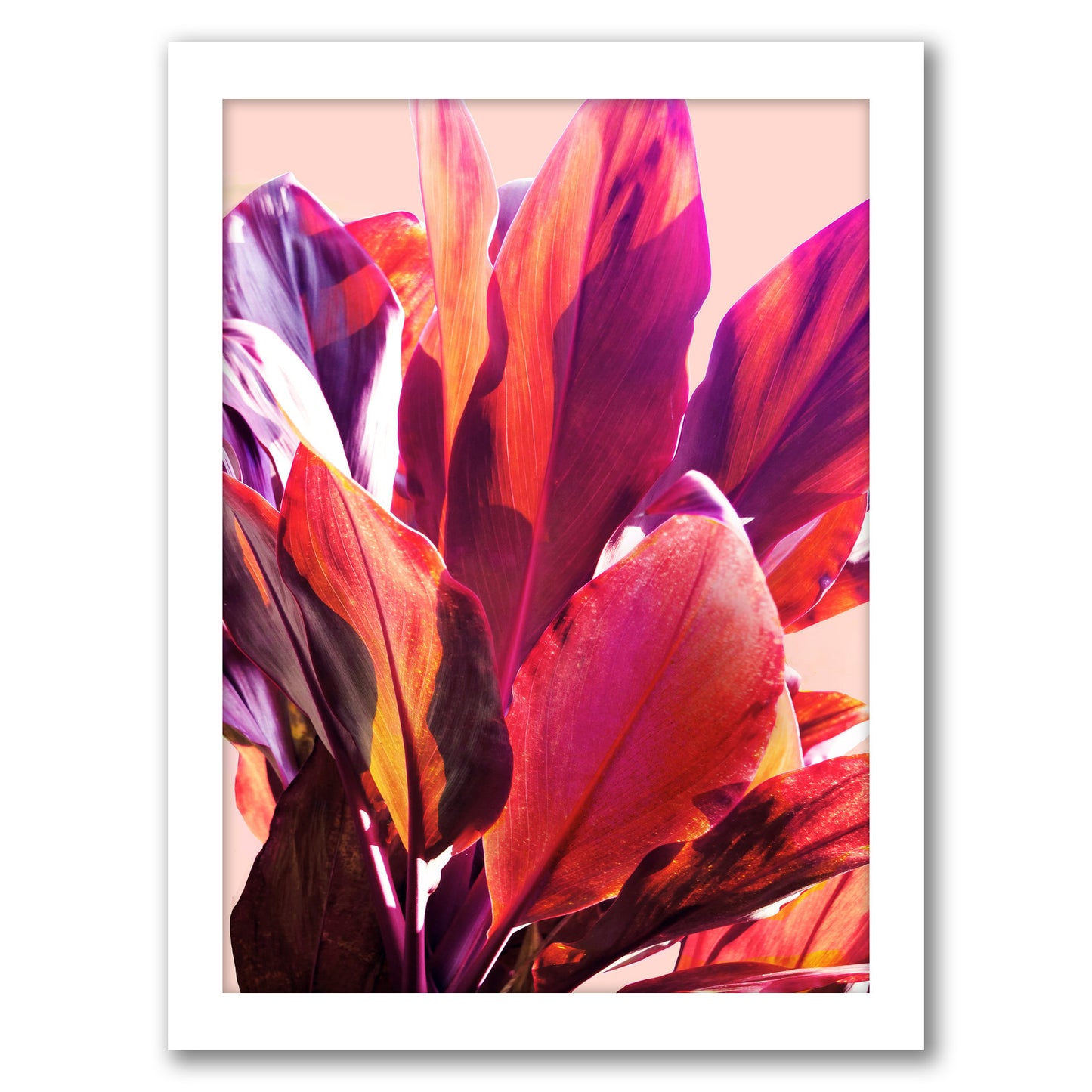 Leaves 1 by Hope Bainbridge - White Framed Print - Wall Art - Americanflat