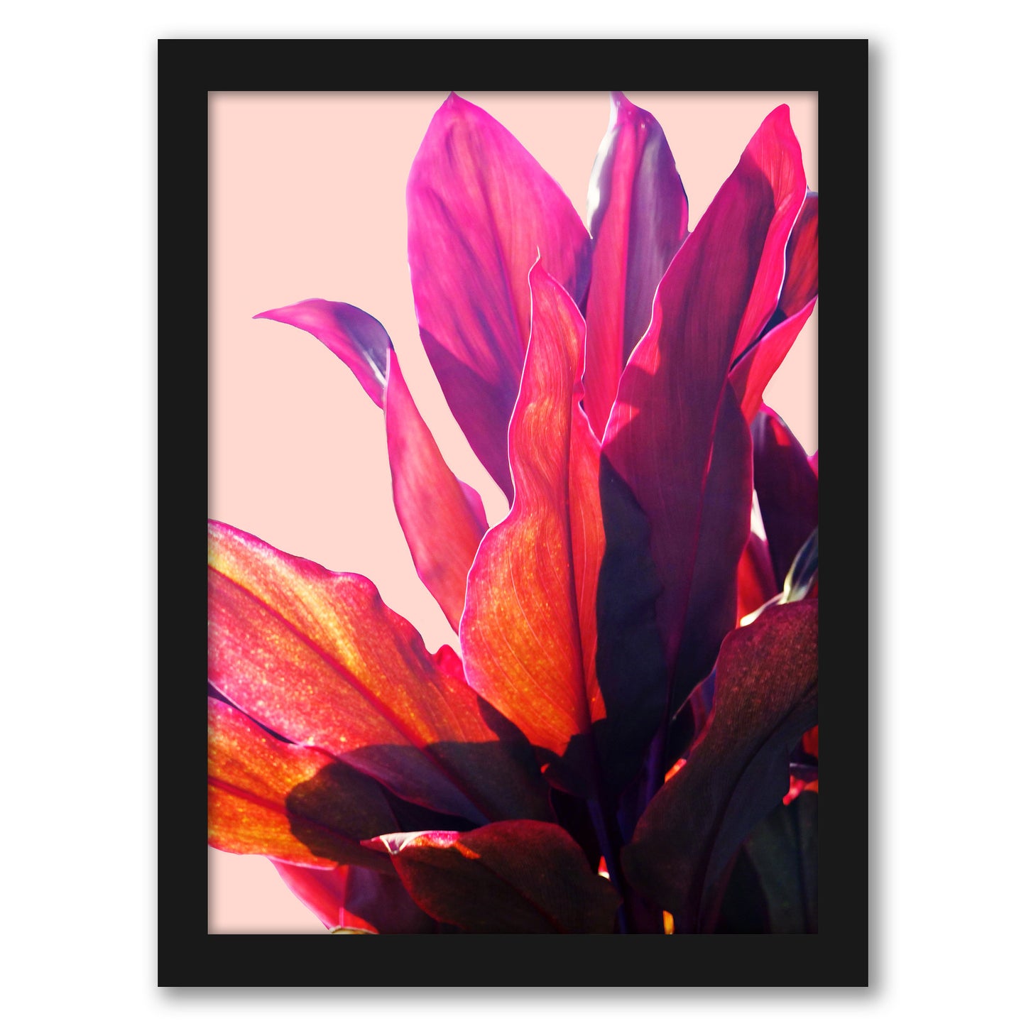 Leaves 2 by Hope Bainbridge - Black Framed Print - Wall Art - Americanflat