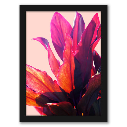 Leaves 2 by Hope Bainbridge - Black Framed Print - Wall Art - Americanflat