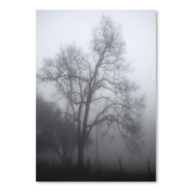 Misty Days by Hope Bainbridge - Art Print - Americanflat