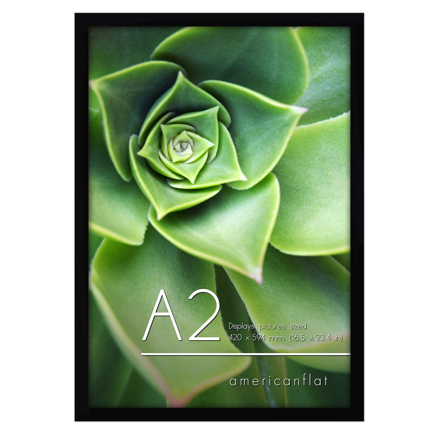 A-Sized Picture Frame (A2, A3, A4, A5) | Choose Size and Color