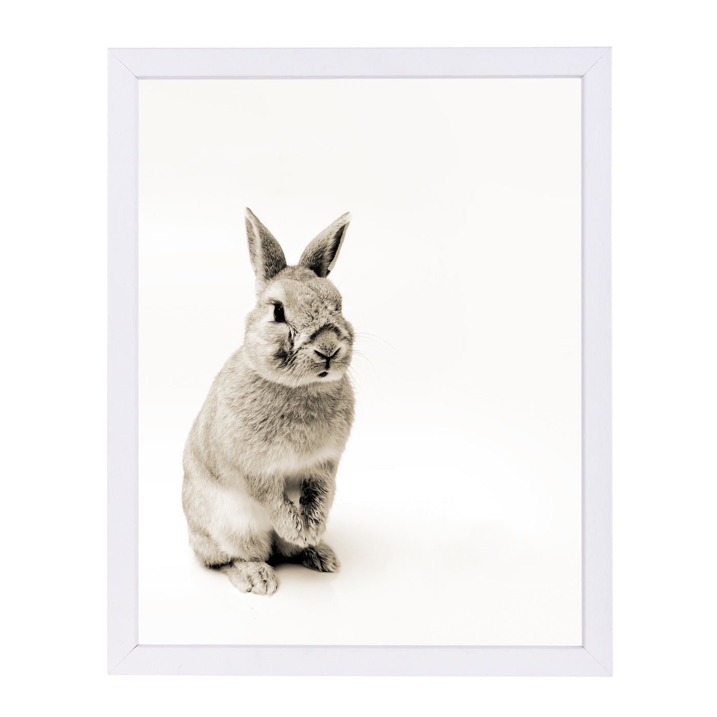 Cute Rabbit Photo By Wall + Wonder - White Framed Print - Wall Art - Americanflat