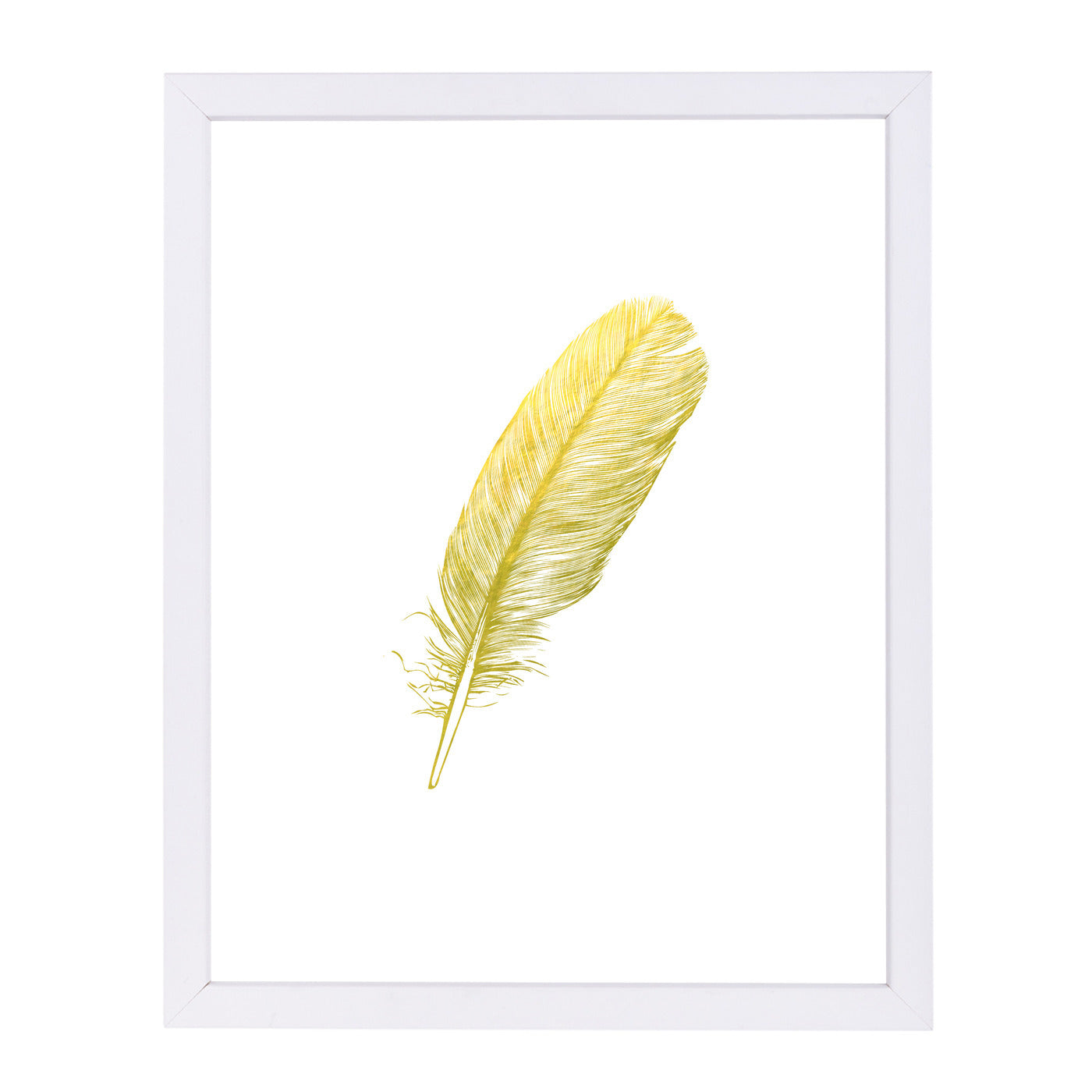 Feather  Gold By Wall + Wonder - White Framed Print - Wall Art - Americanflat