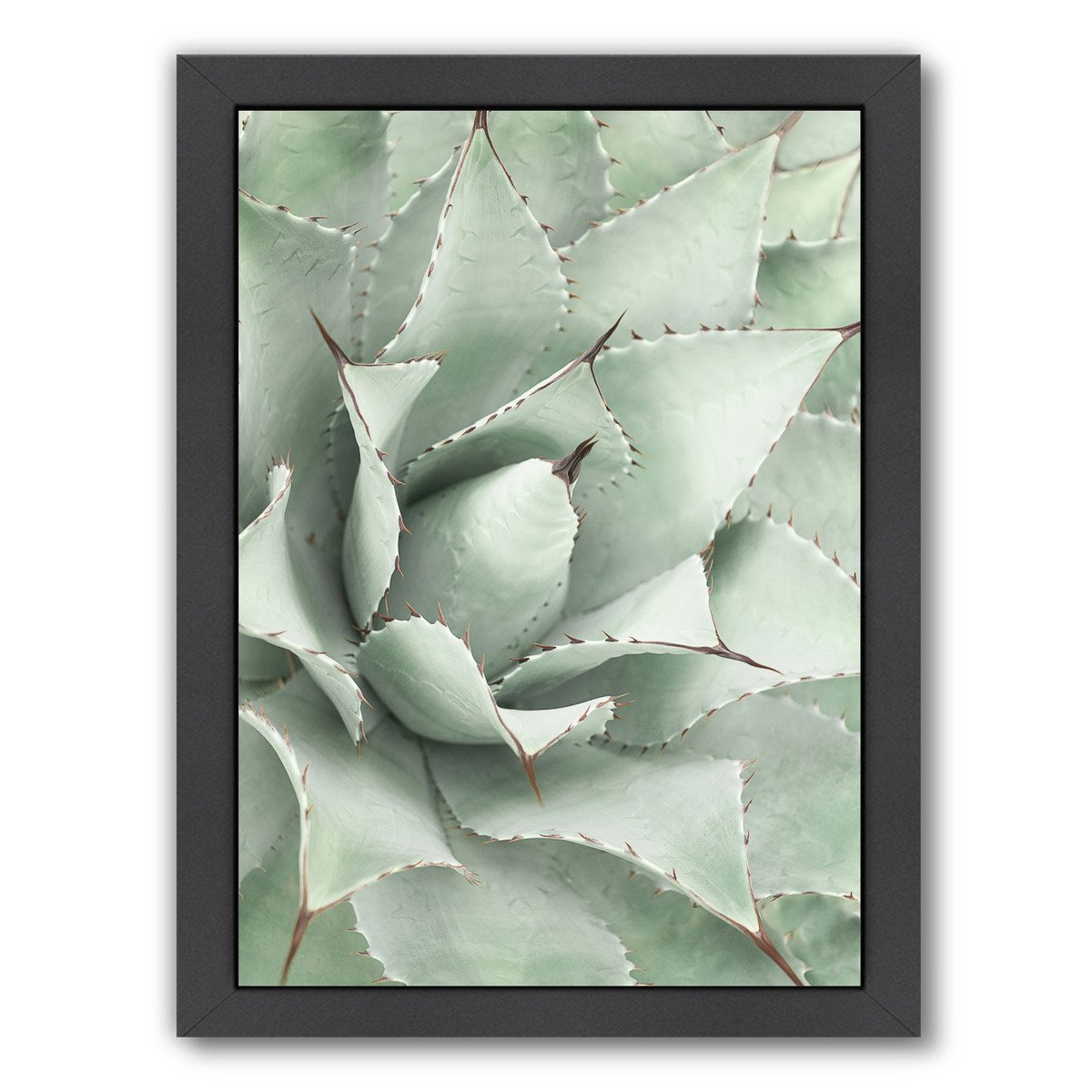 Agave By Sisi And Seb - Black Framed Print - Wall Art - Americanflat