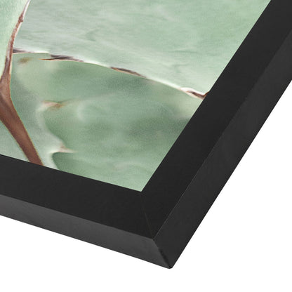 Agave By Sisi And Seb - Black Framed Print - Wall Art - Americanflat