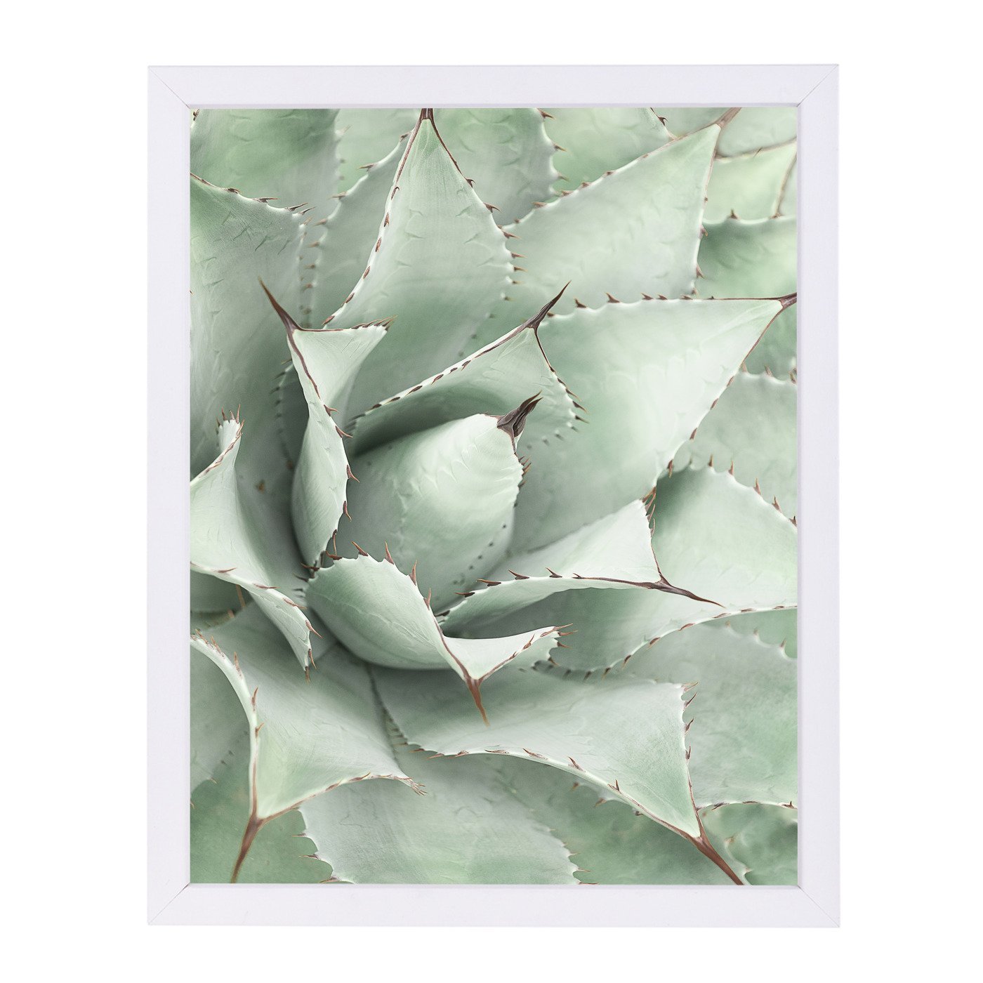 Agave By Sisi And Seb - Framed Print - Americanflat