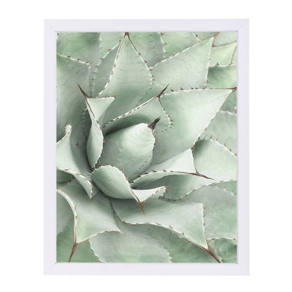 Agave By Sisi And Seb - Framed Print - Americanflat