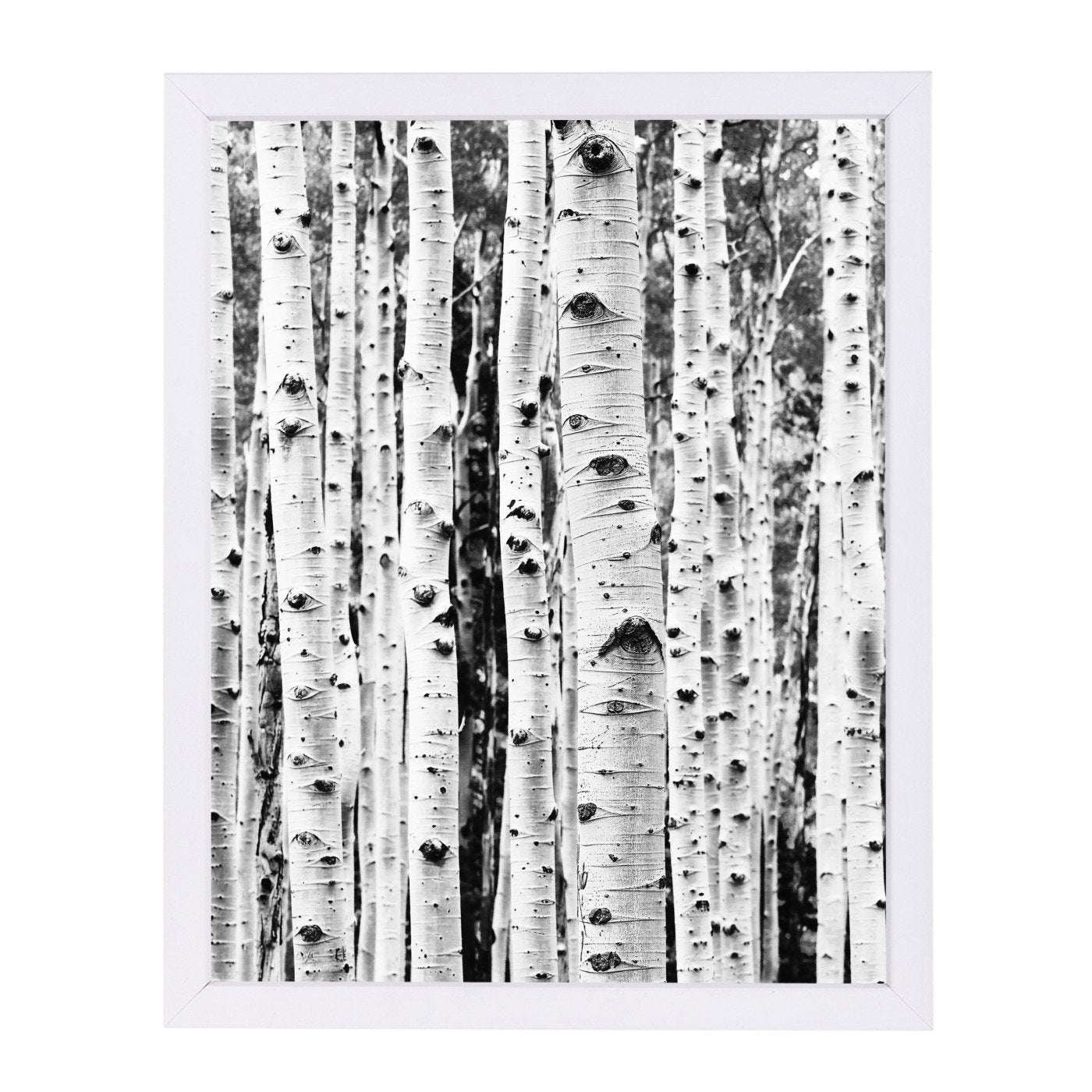 Birch By Sisi And Seb - White Framed Print - Wall Art - Americanflat