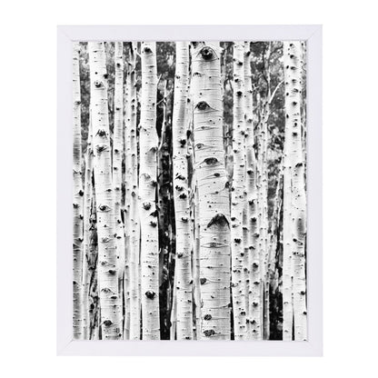 Birch By Sisi And Seb - White Framed Print - Wall Art - Americanflat
