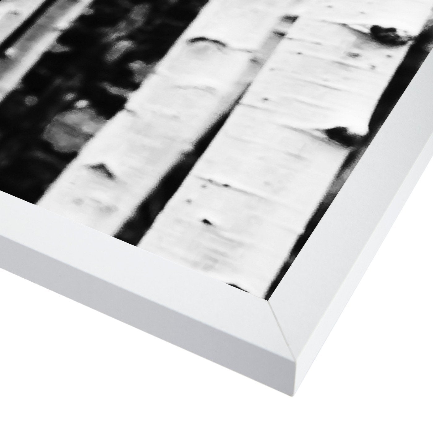 Birch By Sisi And Seb - White Framed Print - Wall Art - Americanflat