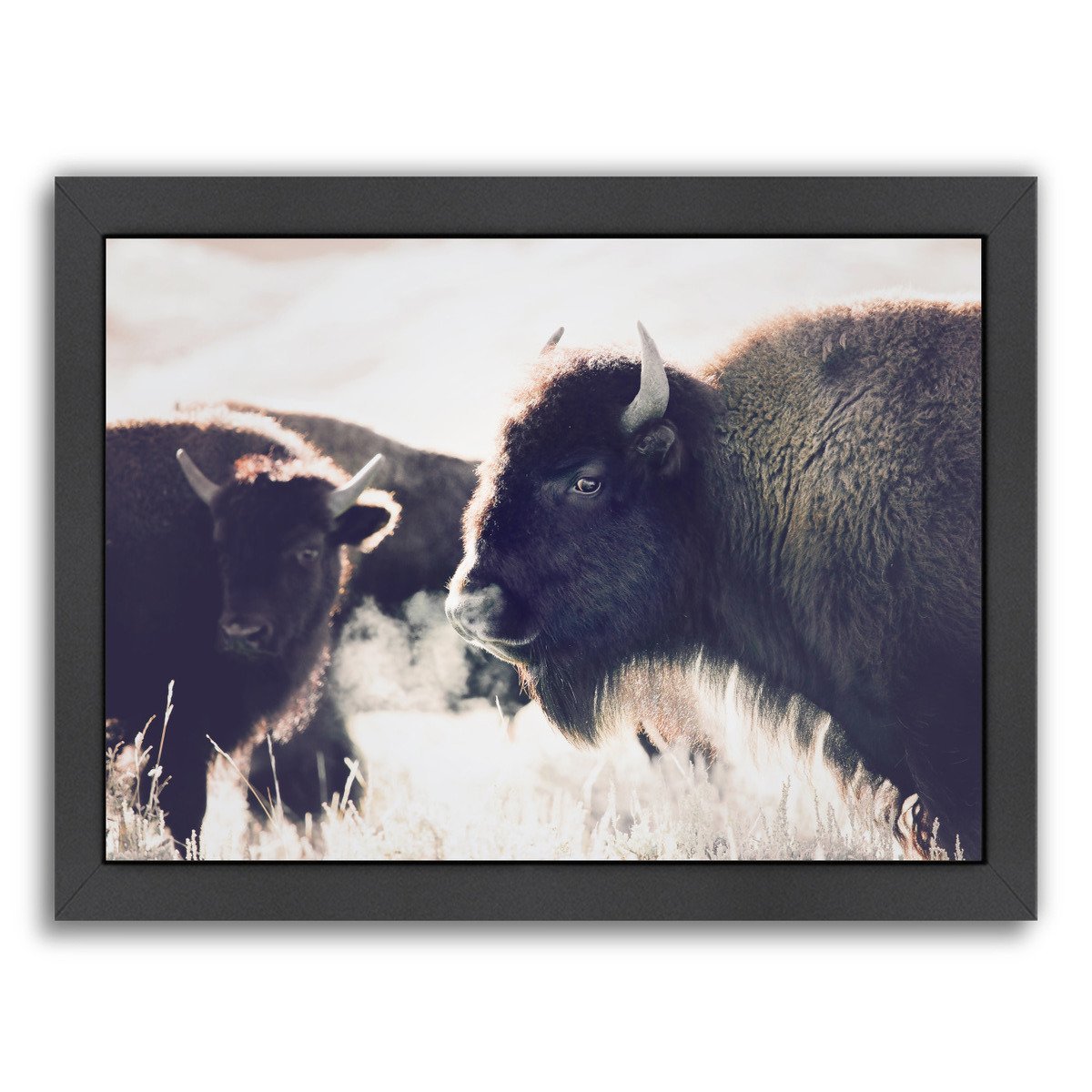 Bison By Sisi And Seb - Black Framed Print - Wall Art - Americanflat