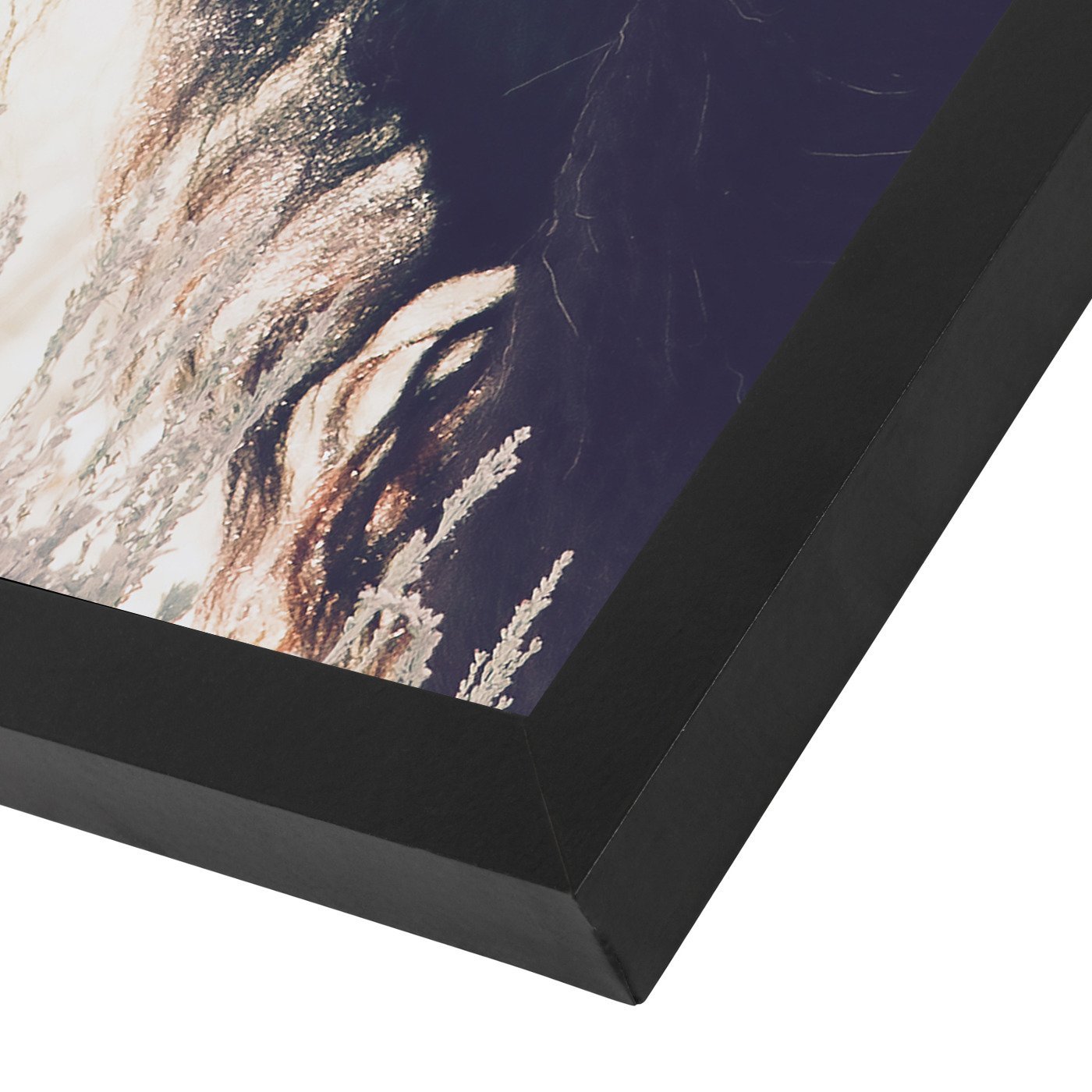Bison By Sisi And Seb - Black Framed Print - Wall Art - Americanflat