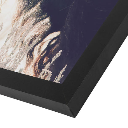 Bison By Sisi And Seb - Black Framed Print - Wall Art - Americanflat