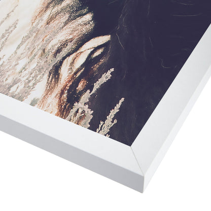 Bison By Sisi And Seb - Framed Print - Americanflat