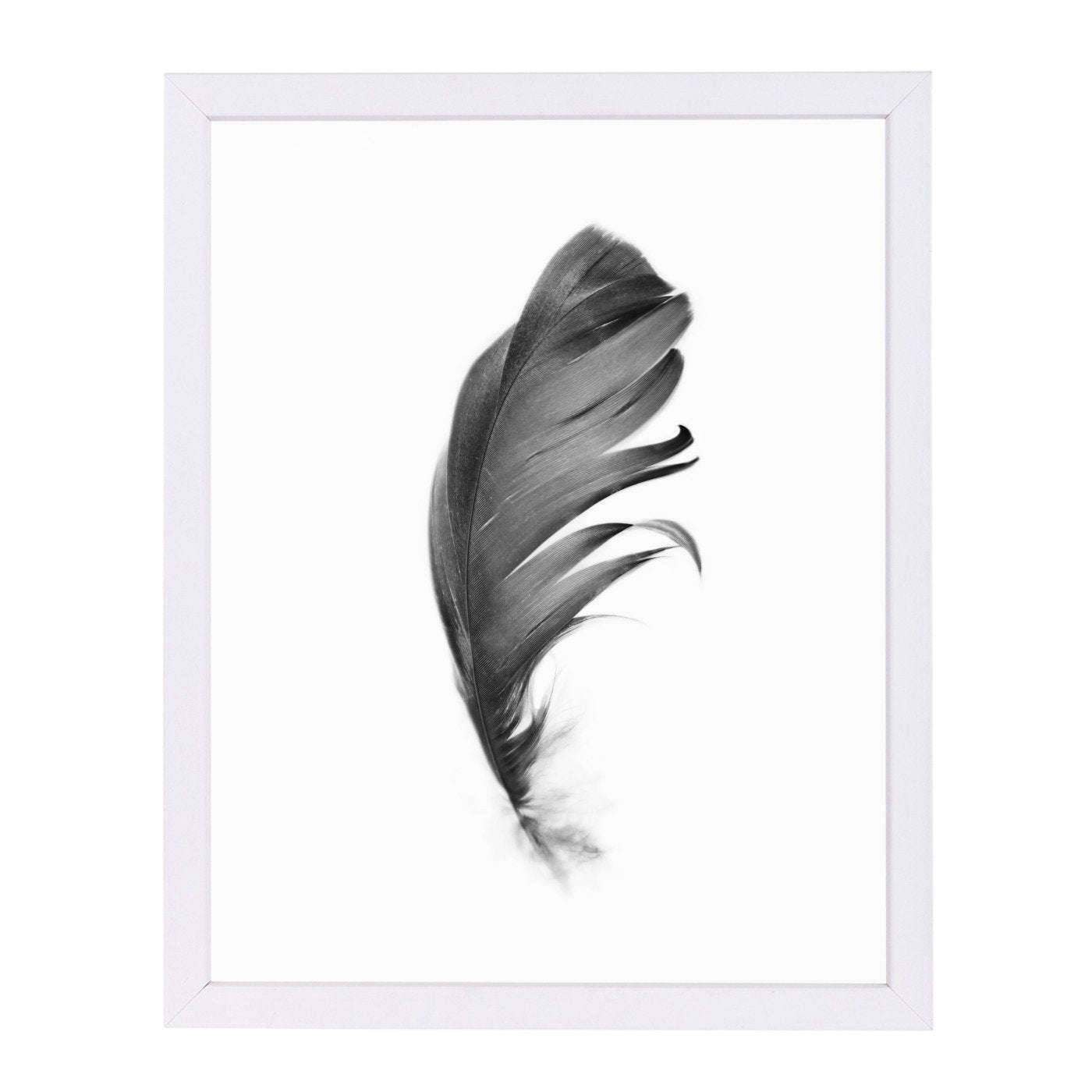 Black Feather By Sisi And Seb - White Framed Print - Wall Art - Americanflat