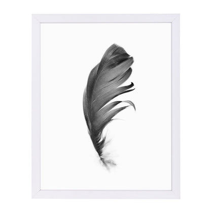 Black Feather By Sisi And Seb - White Framed Print - Wall Art - Americanflat