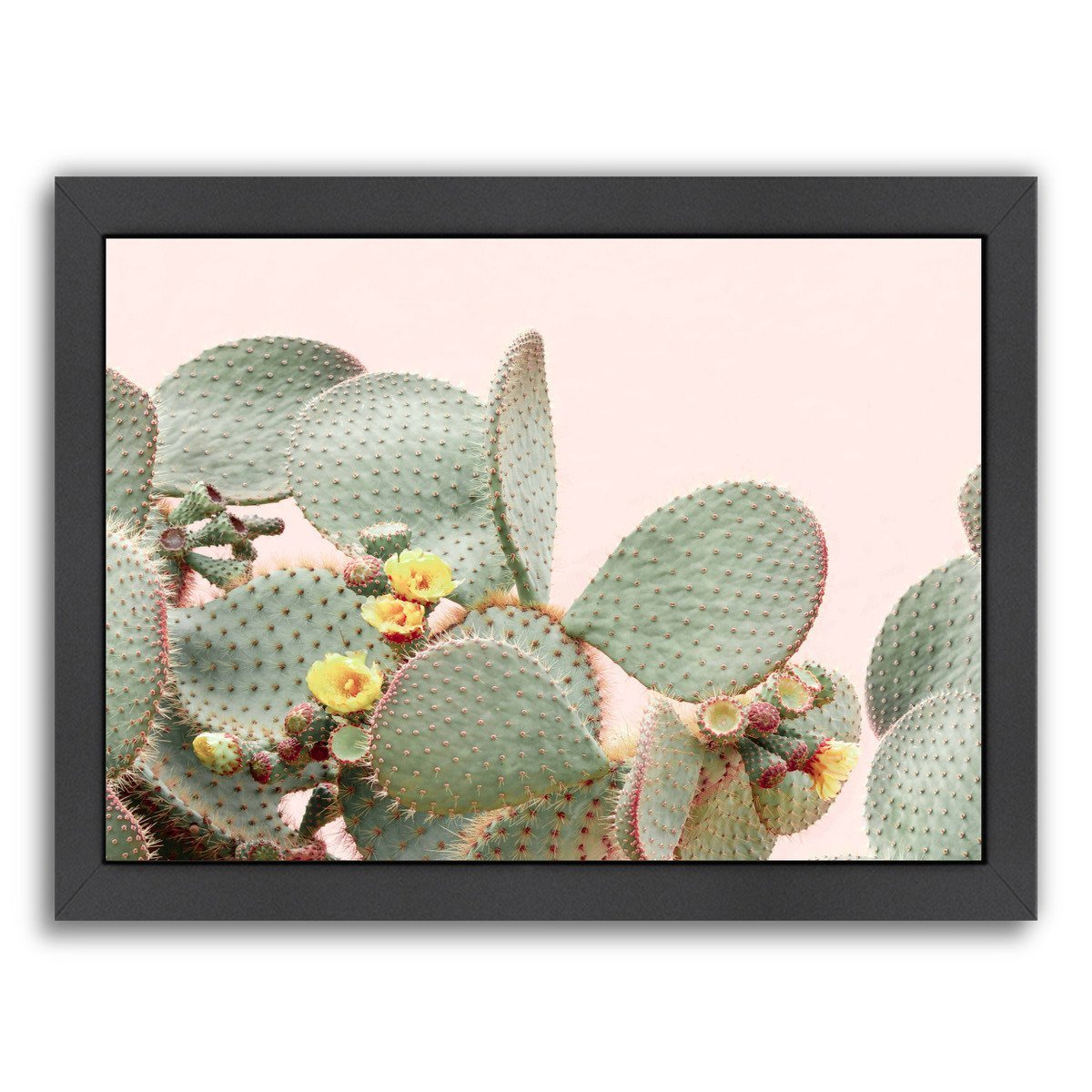 Blooming Cactus  By Sisi And Seb - Black Framed Print - Wall Art - Americanflat