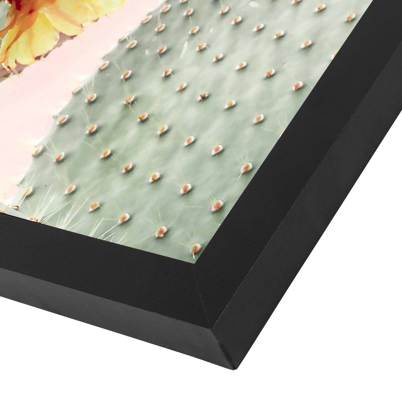 Blooming Cactus  By Sisi And Seb - Black Framed Print - Wall Art - Americanflat