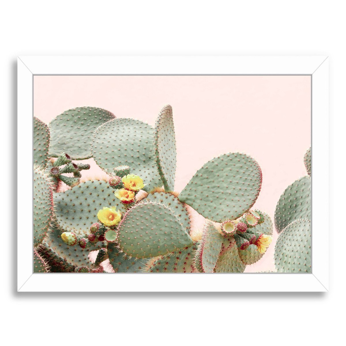 Blooming Cactus  By Sisi And Seb - Framed Print - Americanflat