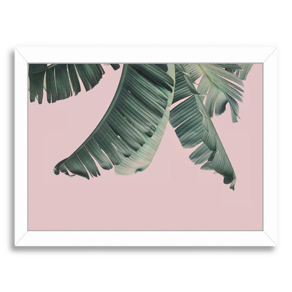 Blush Leaf By Sisi And Seb - Framed Print - Americanflat