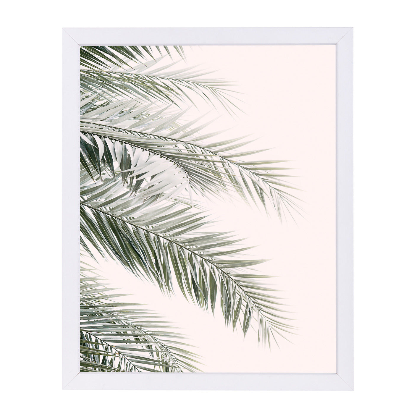 Blush Palm Leaf By Sisi And Seb - White Framed Print - Wall Art - Americanflat