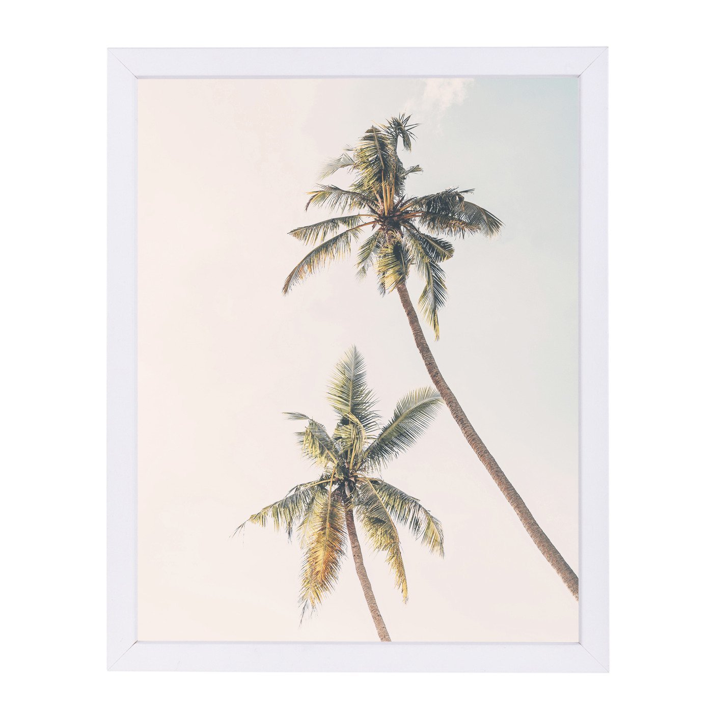Blush Palm Tree 2 By Sisi And Seb - White Framed Print - Wall Art - Americanflat