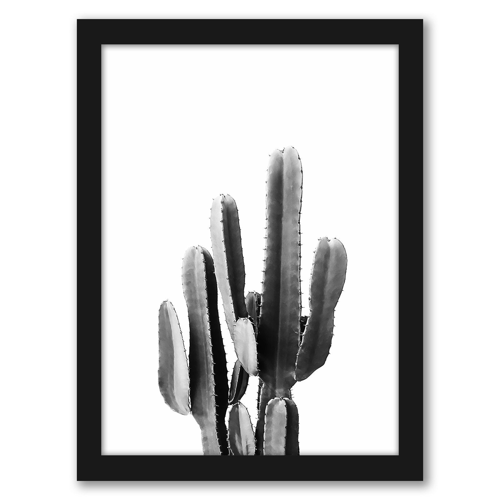 Black & White Photography Framed Gallery Wall Set - Art Set - Americanflat