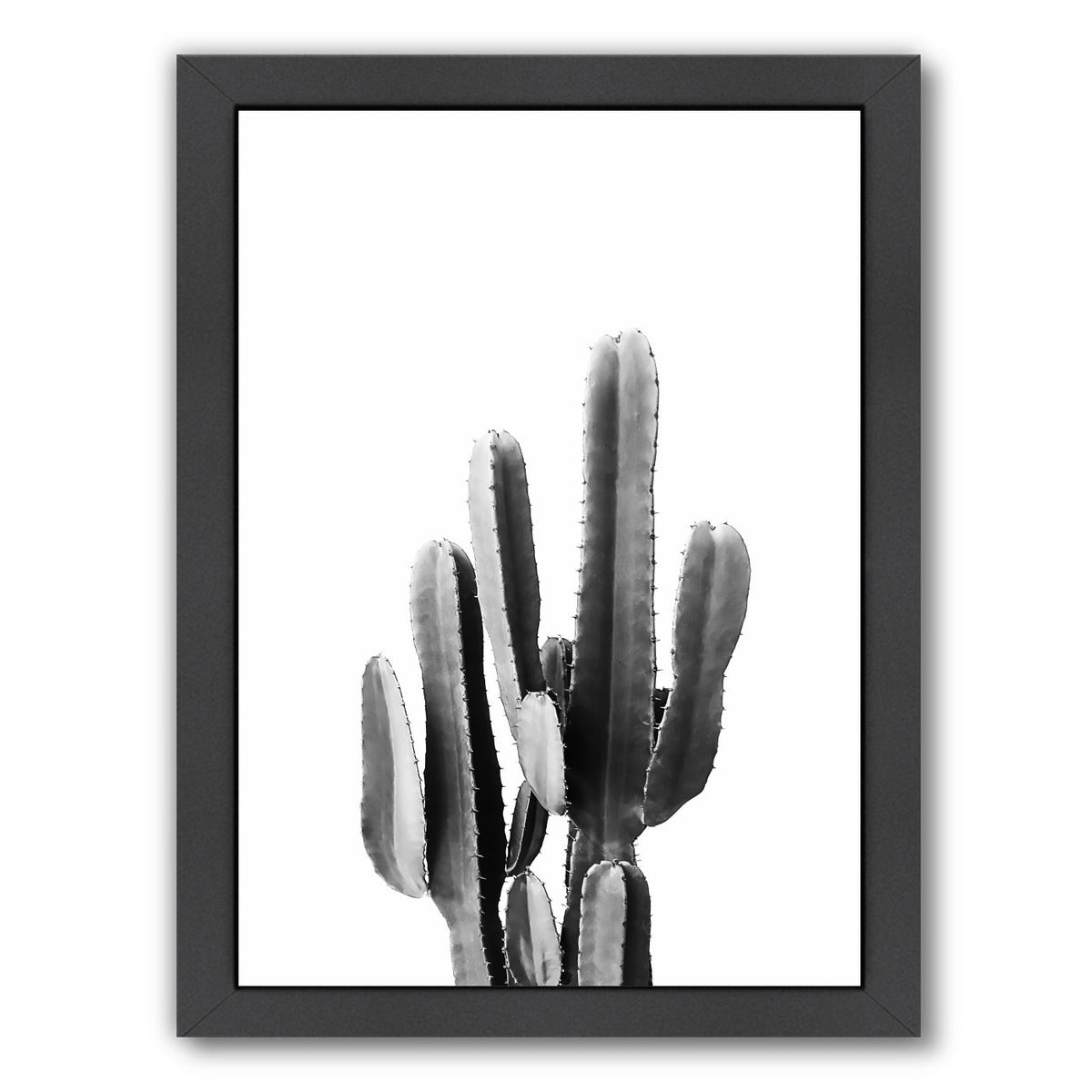 Cacti Bw By Sisi And Seb - Black Framed Print - Wall Art - Americanflat