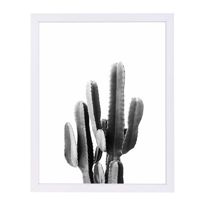 Cacti Bw By Sisi And Seb - White Framed Print - Wall Art - Americanflat