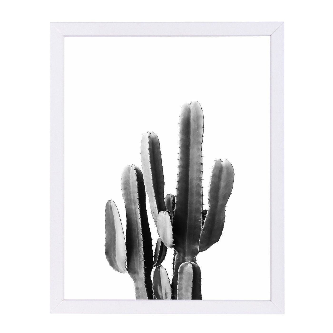 Cacti Bw By Sisi And Seb - Framed Print - Americanflat