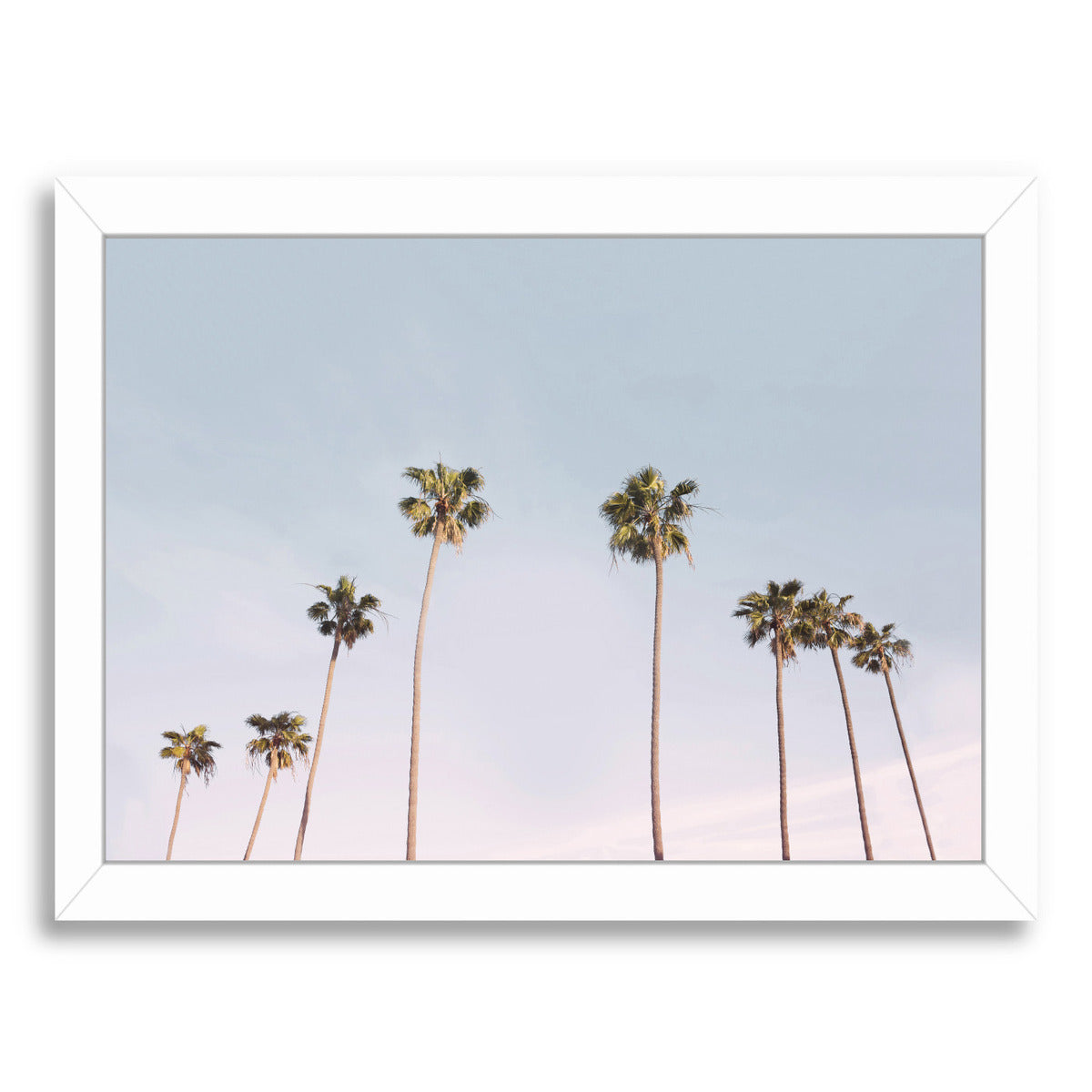 California Trees By Sisi And Seb - White Framed Print - Wall Art - Americanflat