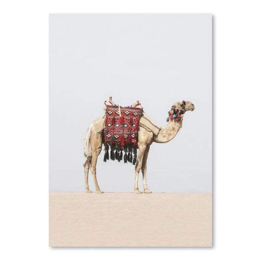 Camel In Desert by Sisi and Seb - Art Print - Americanflat