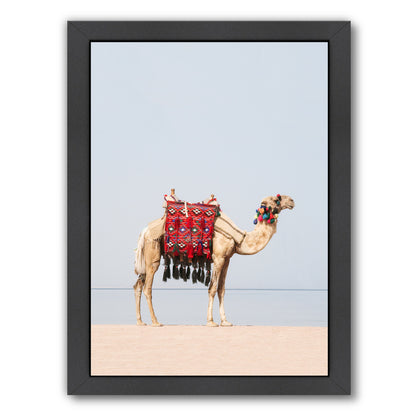 Desert Camel By Sisi And Seb - Black Framed Print - Wall Art - Americanflat