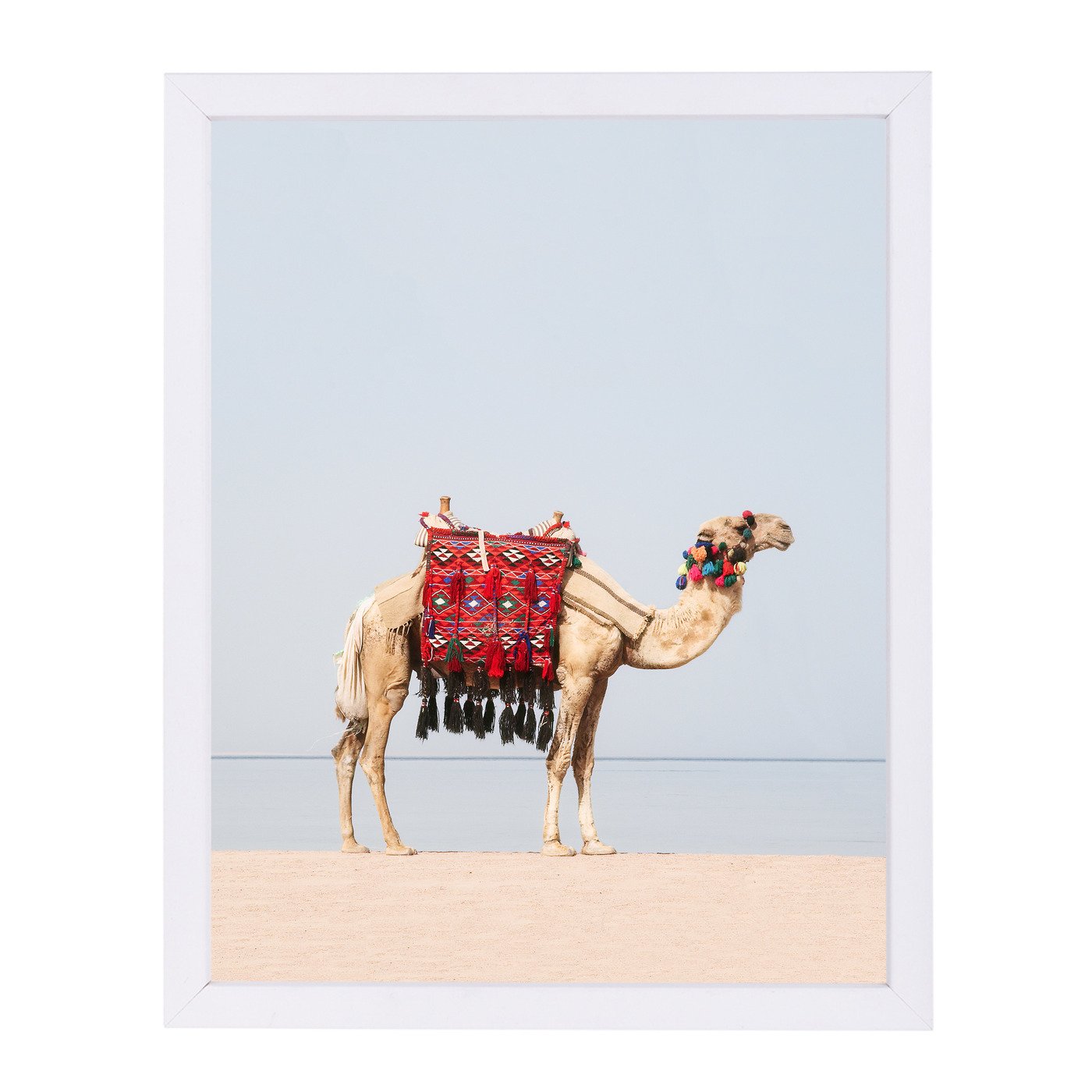 Desert Camel By Sisi And Seb - Framed Print - Americanflat