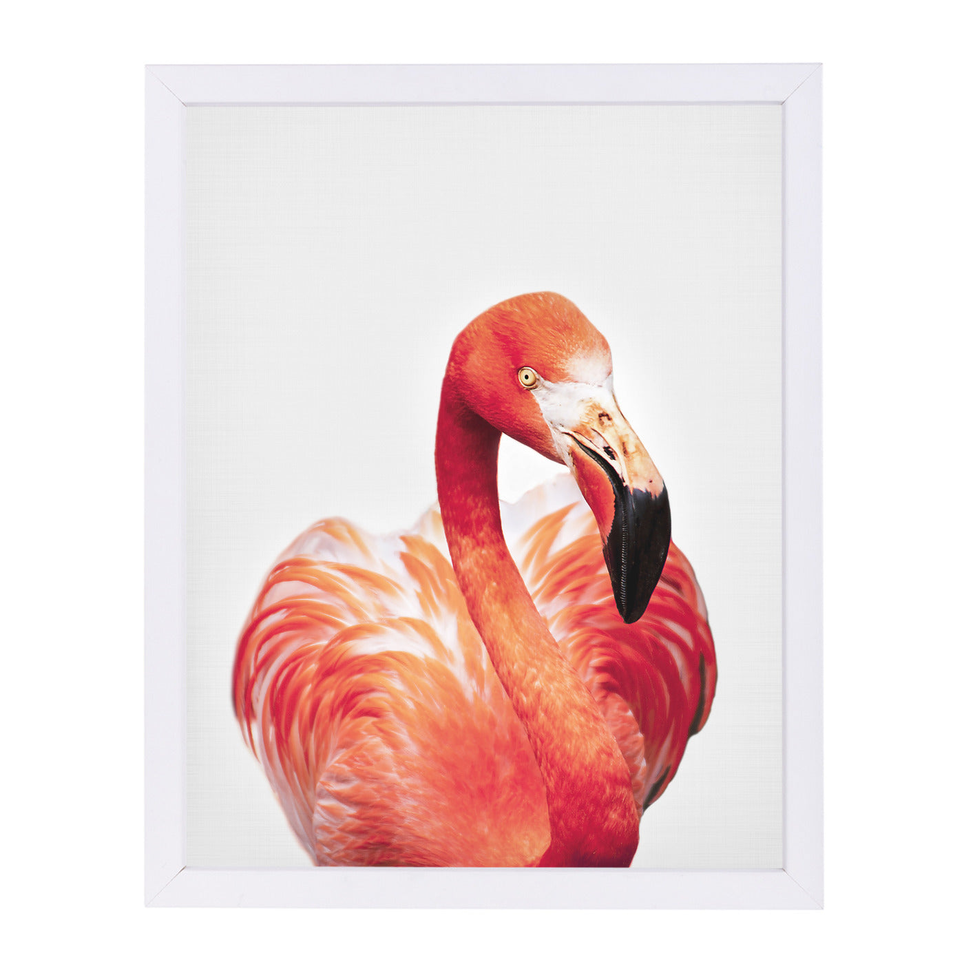 Flamingo By Sisi And Seb - White Framed Print - Wall Art - Americanflat