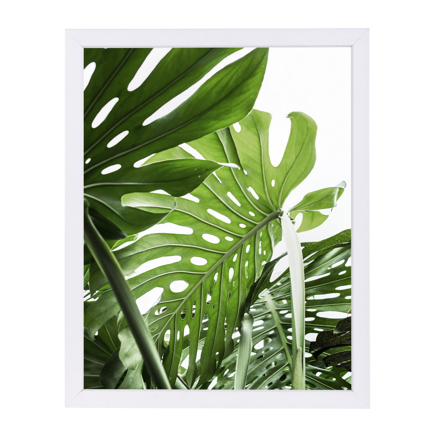 Jungle By Sisi And Seb - White Framed Print - Wall Art - Americanflat