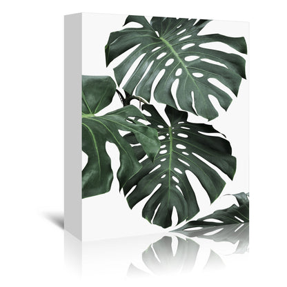 Monstera Jungle by Sisi And Seb - Wrapped Canvas - Americanflat