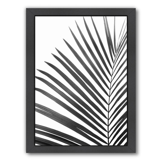 Palm Leaf By Sisi And Seb - Black Framed Print - Wall Art - Americanflat