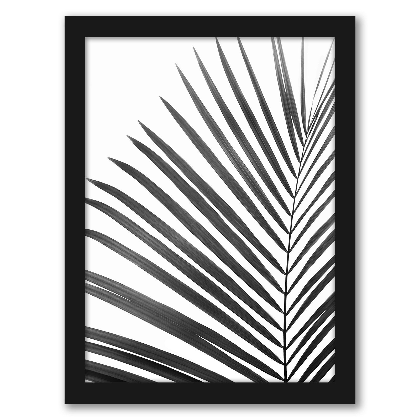 Black & White Photography Framed Gallery Wall Set - Art Set - Americanflat