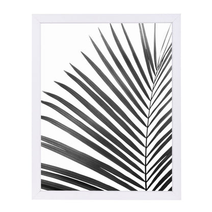 Palm Leaf By Sisi And Seb - Framed Print - Americanflat