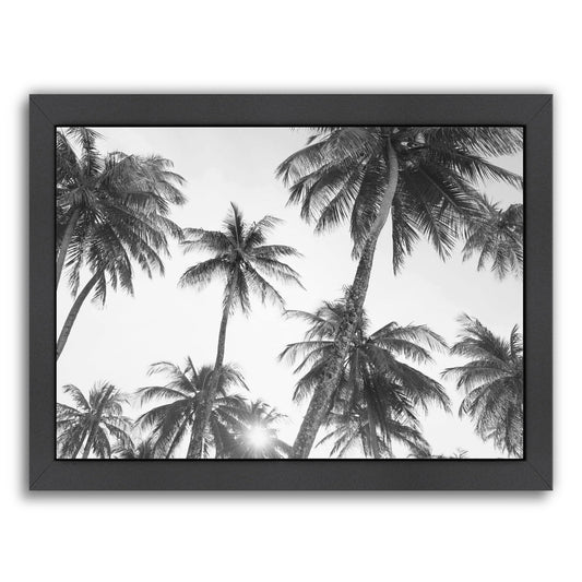Tropical Bw By Sisi And Seb - Black Framed Print - Wall Art - Americanflat