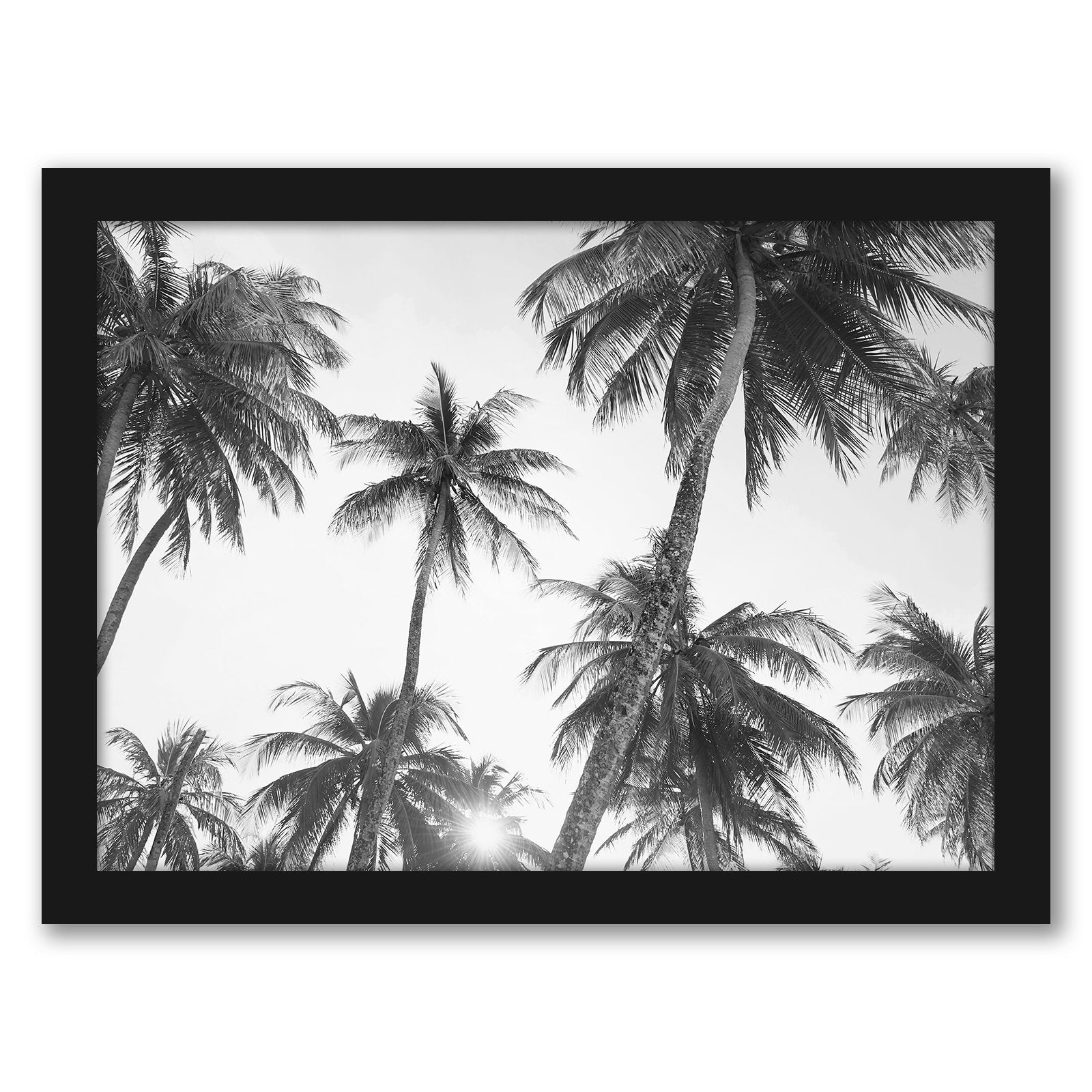 Black & White Photography Framed Gallery Wall Set - Art Set - Americanflat