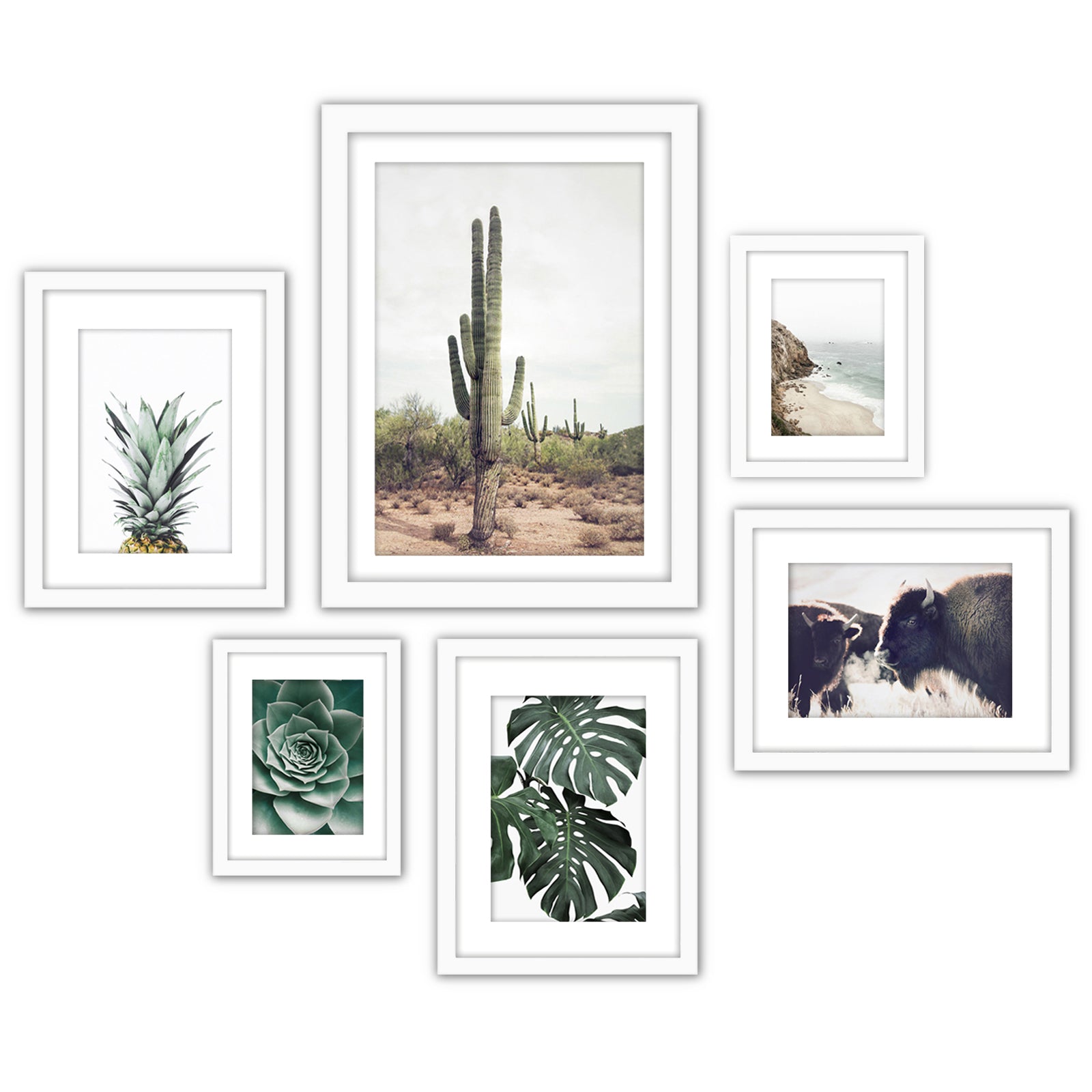 Contemporary Southwest Photography - 6 Piece Framed Gallery Wall Set - Americanflat