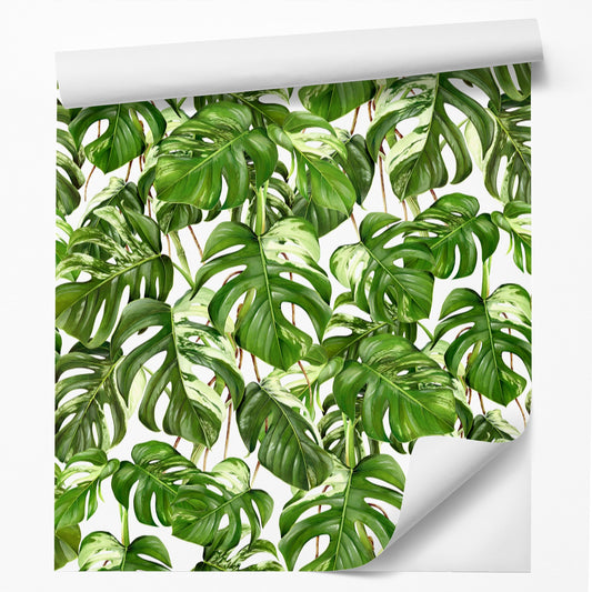 18' L x 24" W Peel & Stick Wallpaper Roll - Monstera 1 by DecoWorks - Wallpaper - Americanflat