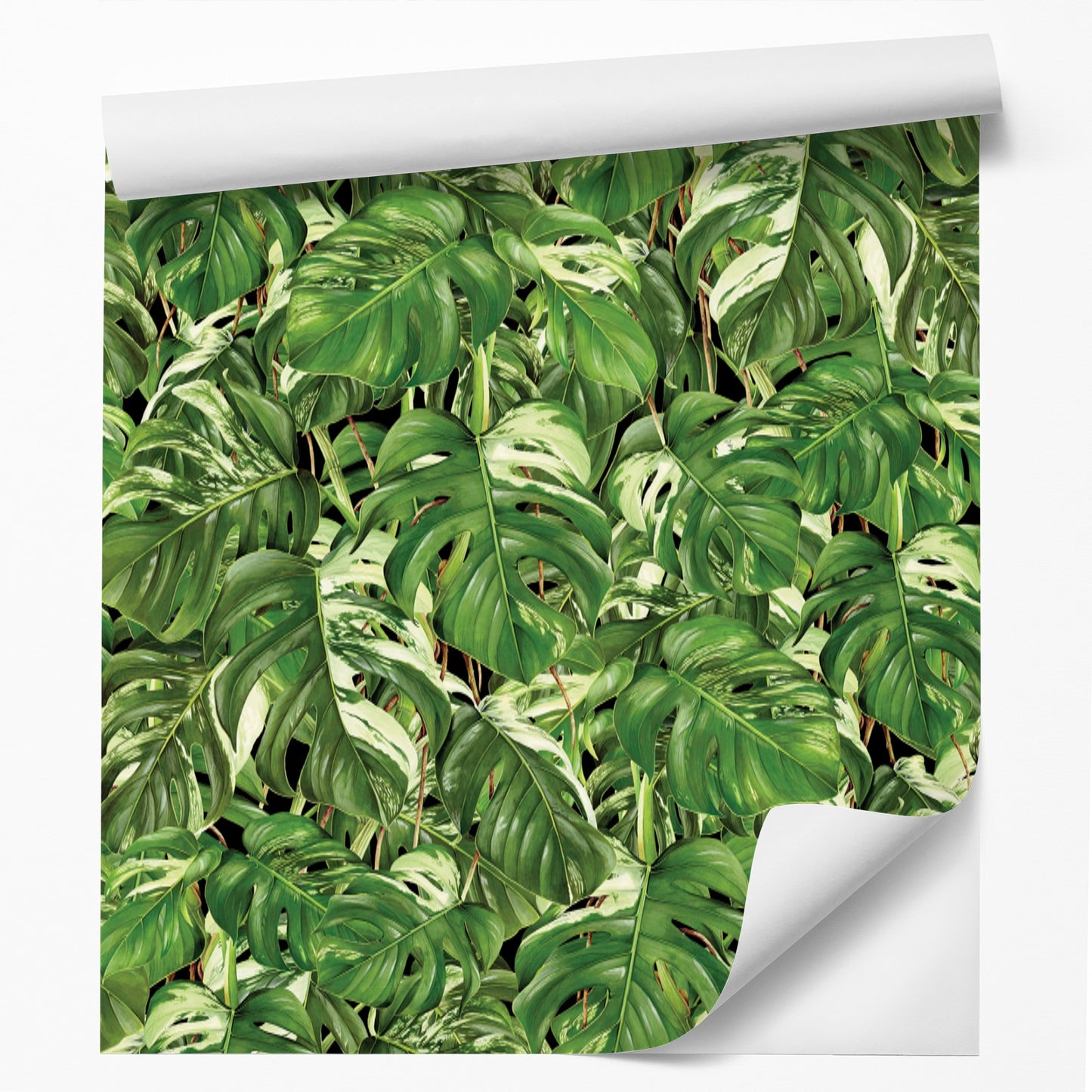 18' L x 24" W Peel & Stick Wallpaper Roll - Monstera 2 by DecoWorks - Wallpaper - Americanflat